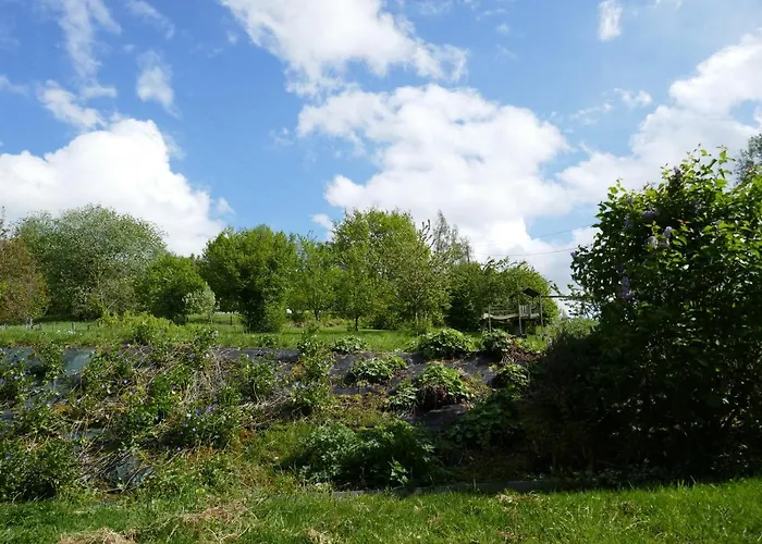 Bed and Breakfast La Ferme De Berwausault